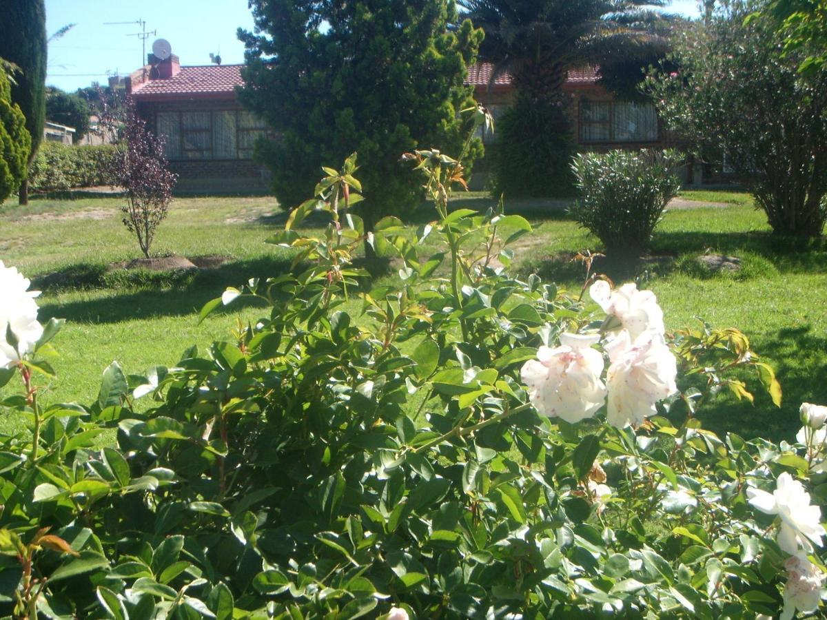 Lion Rock View Guesthouse Μαζέρου Εξωτερικό φωτογραφία